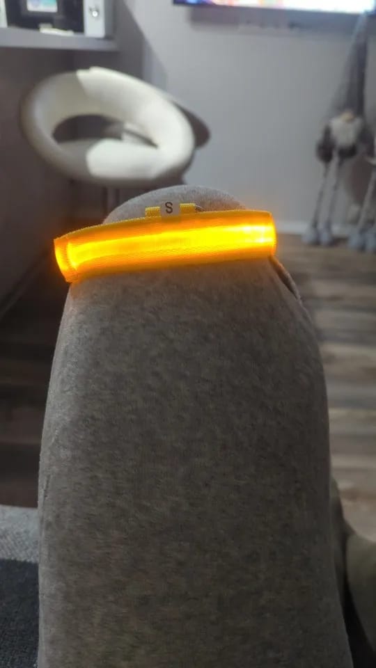 Customer photo review of LED Glowing Dog Collar Adjustable Flashing Rechargea Luminous Collar Night Anti-Lost Dog Light HarnessFor Small Dog Pet Products