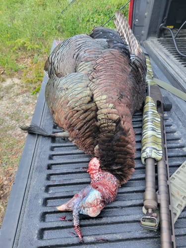 Customer photo review of Impact Vest 2.0