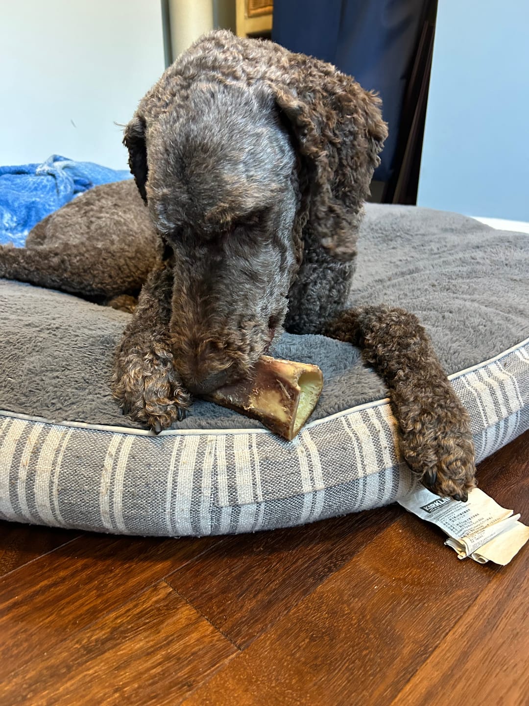 Customer photo review of 5-6 Inch Marrow Bone