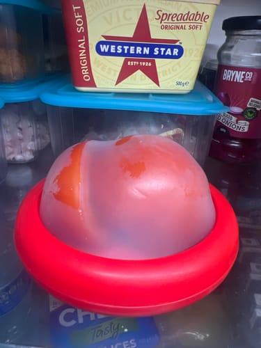 Customer photo review of The FreshPouch™ - (4 Pack)