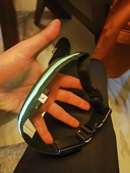 Customer photo review of LED Glowing Dog Collar Adjustable Flashing Rechargea Luminous Collar Night Anti-Lost Dog Light HarnessFor Small Dog Pet Products