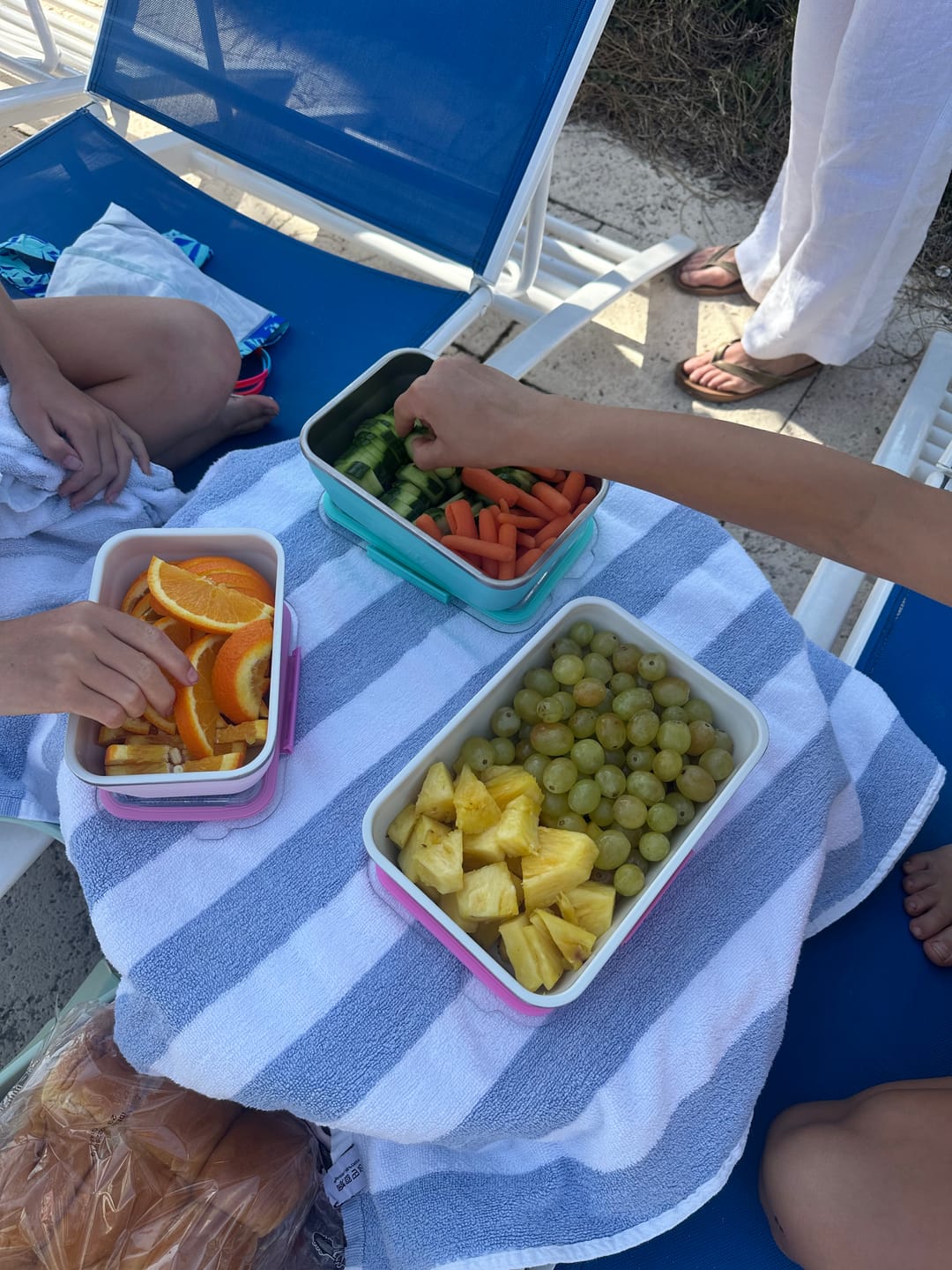 Customer photo review of Travel Bento Box (9x6)