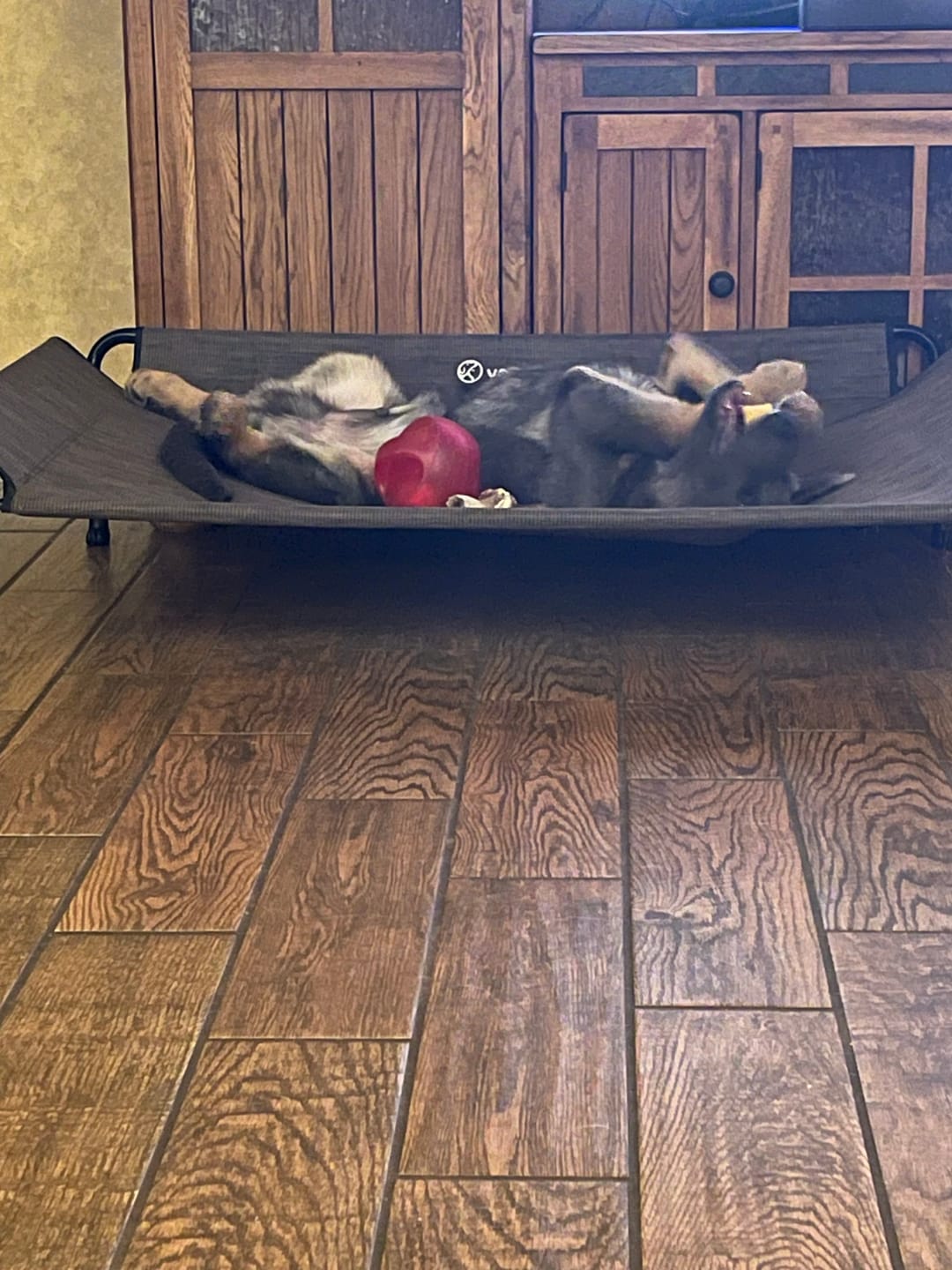 Customer photo review of Himalayan Yak Chew (MEGA)