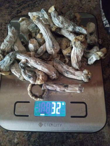 Customer photo review of Non Detect Mushrooms - 50% Off