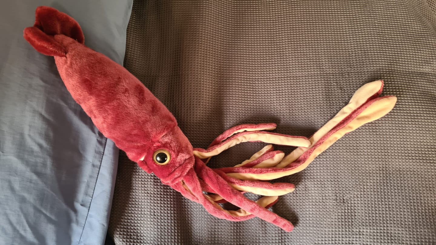 Customer photo review of Giant Squid Soft Stuffed Plush Toy