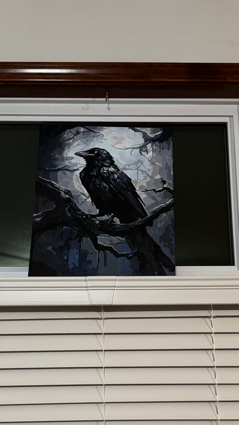 Customer photo review of Mysterious Raven