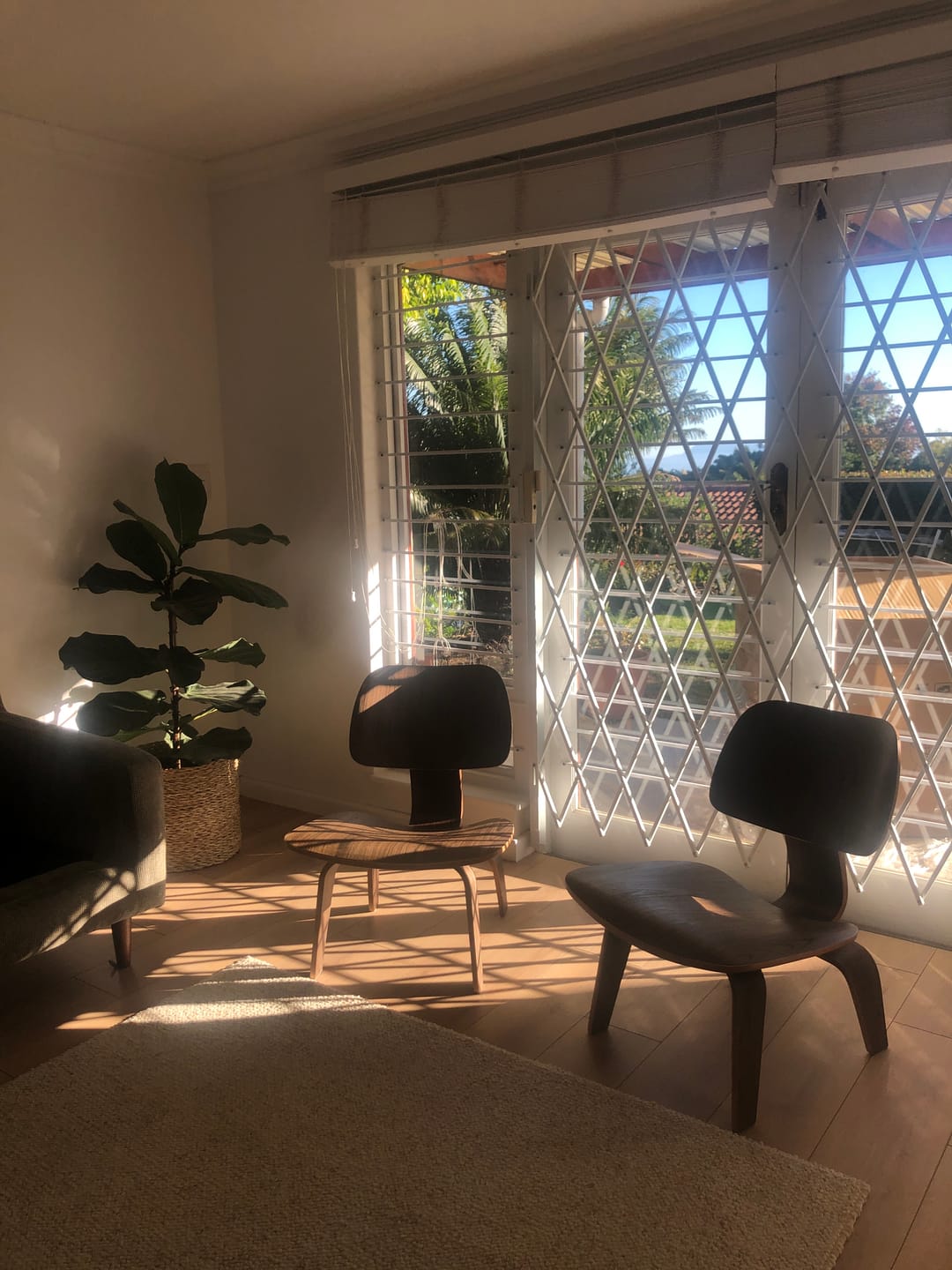 Customer photo review of Ellie Lounger Chair Wallnut