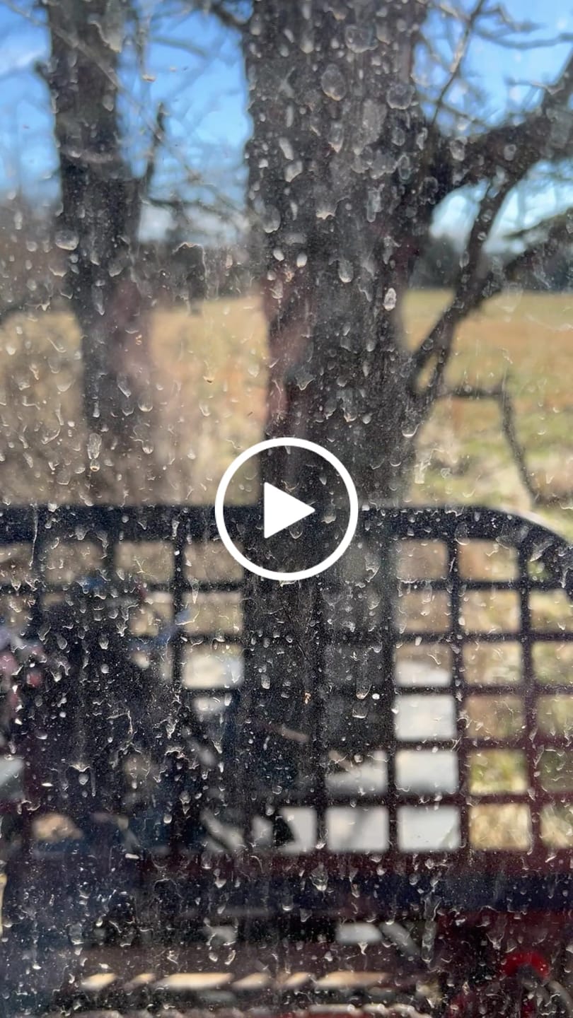 Customer video review of The Power Axe - Tree Shear HD