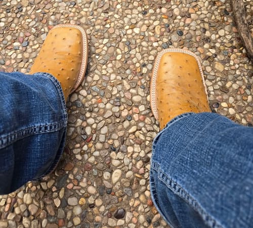 Customer photo review of Antique Saddle - Genuine Full-Quill Ostrich Boots