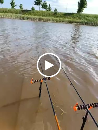 Customer video review of A-CLASS + N-GAUGE 9/10/11 ft  QUIVER TIPS