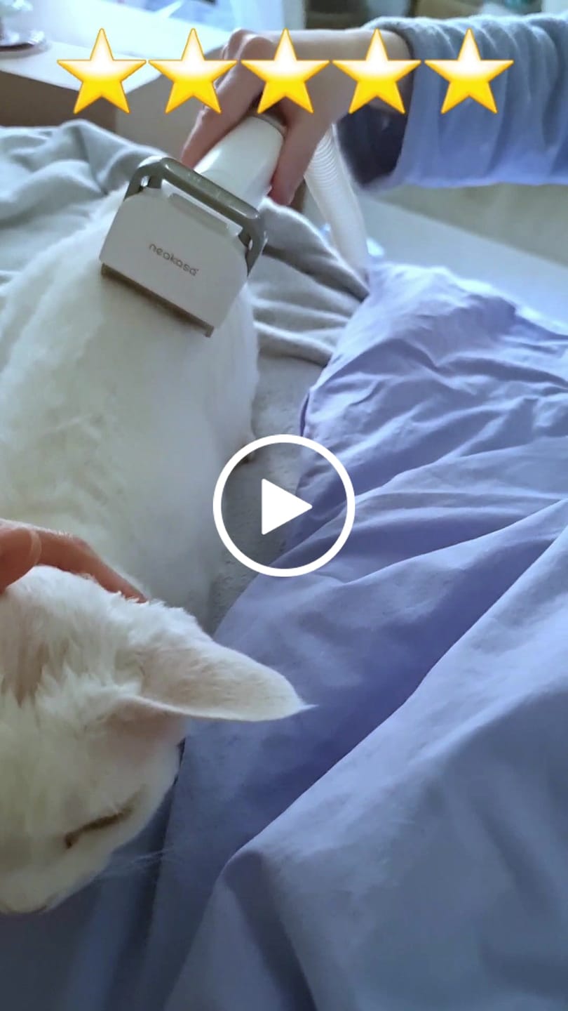 Customer video review of Neakasa P2 Pro 5-in-1 Dog Cat Grooming Kit with Vacuum