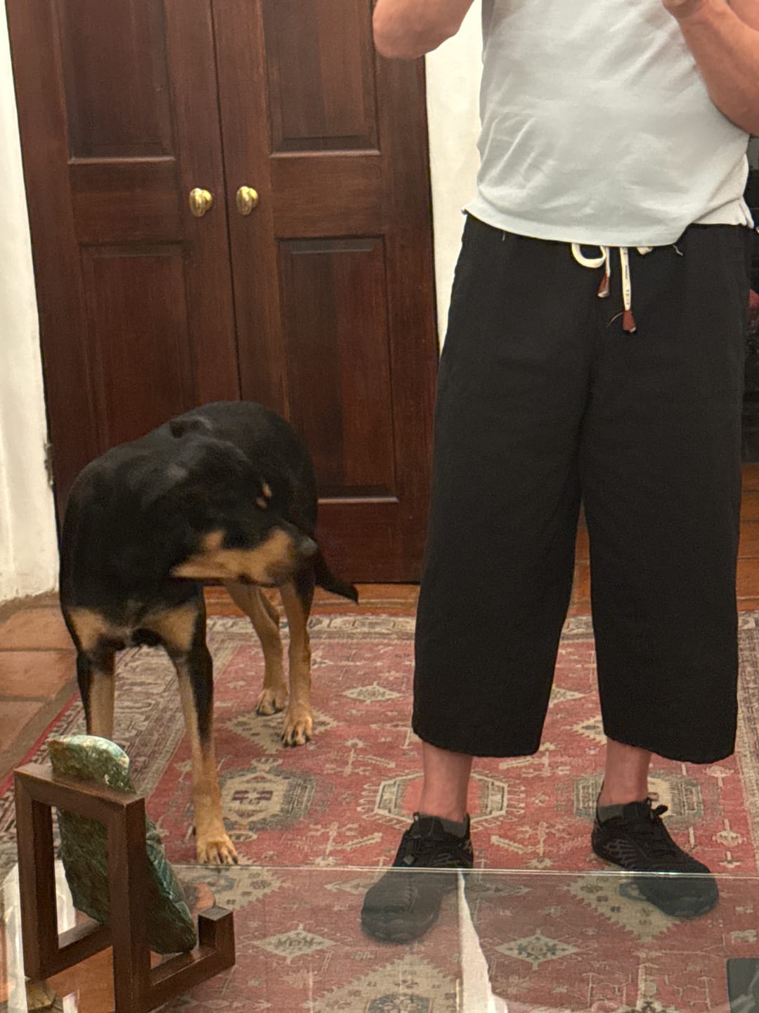 Customer photo review of Sekino Cropped Pants 2.0