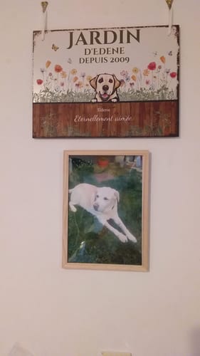 Customer photo review of Notre jardin - Plaque de jardin personnalisée