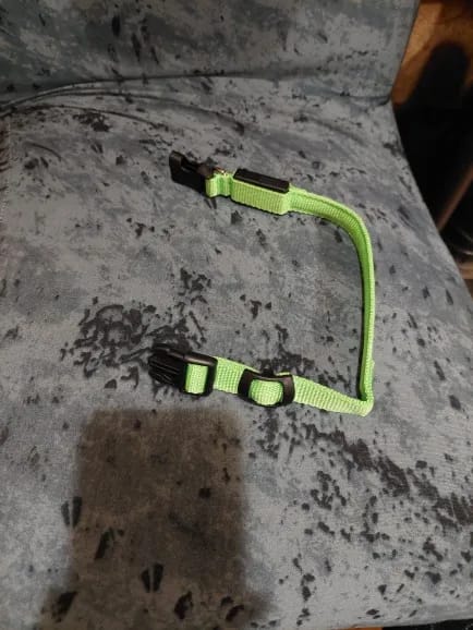 Customer photo review of LED Glowing Dog Collar Adjustable Flashing Rechargea Luminous Collar Night Anti-Lost Dog Light HarnessFor Small Dog Pet Products