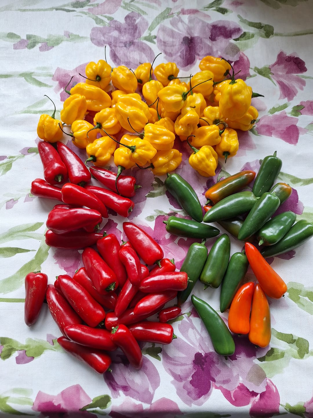 Customer photo review of Frische Jalapeno Grün, 200g