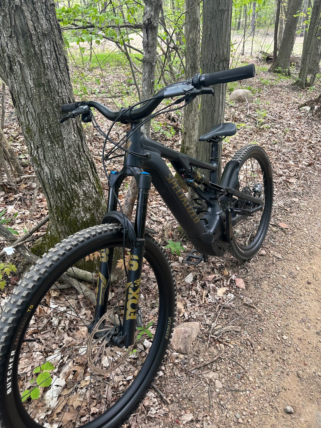 Customer photo review of Custom Fox 36 Decal