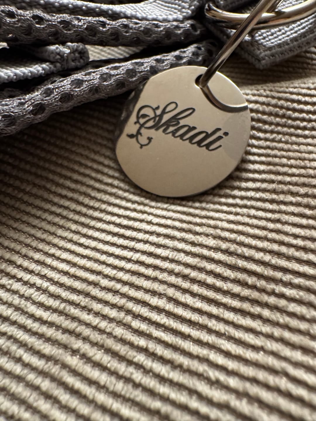 Customer photo review of Runde Hundemarke mit Gravur, Name und Telefon personalisiert