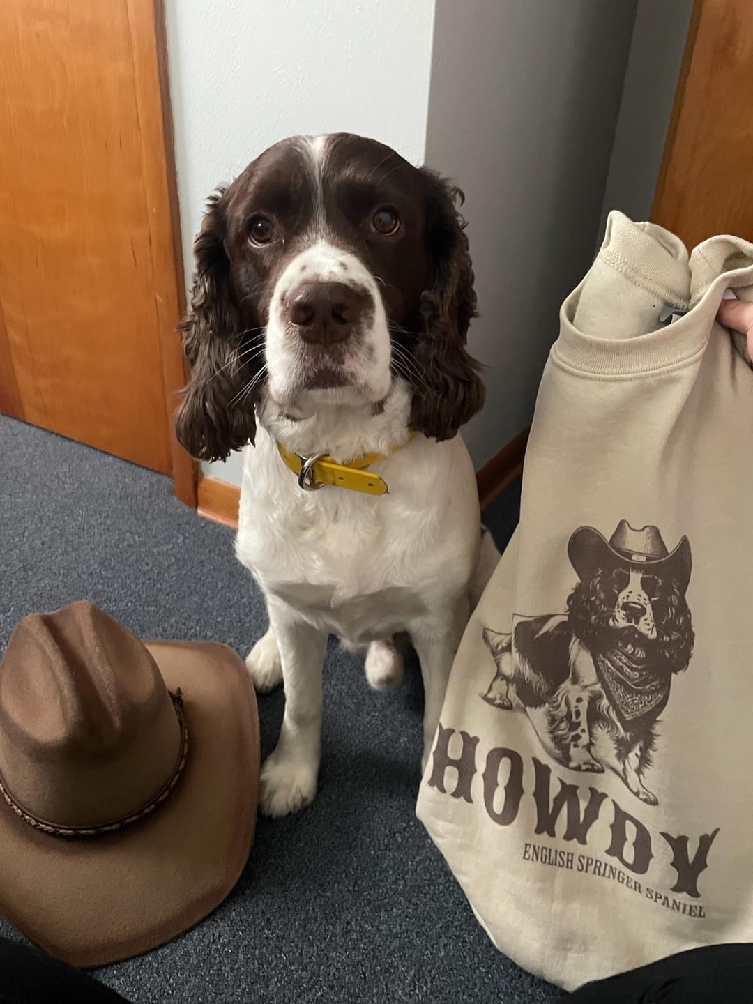 Customer photo review of English Springer Spaniel Howdy Sweatshirt