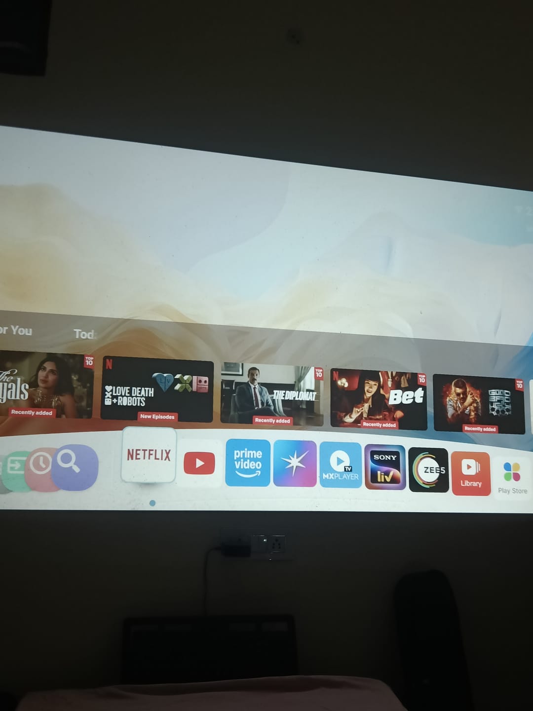 Customer photo review of Lumex Flix