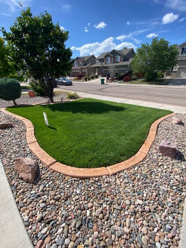 Customer photo review of GCI Turf Type Tall fescue Grass Seed