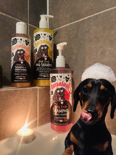 Customer photo review of Medi Fresh Dog Shampoo with Tea Tree & Oatmeal