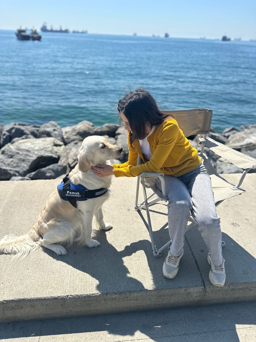 Customer photo review of MellowPurr Özelleştirilebilir No Pull Köpek Tasması