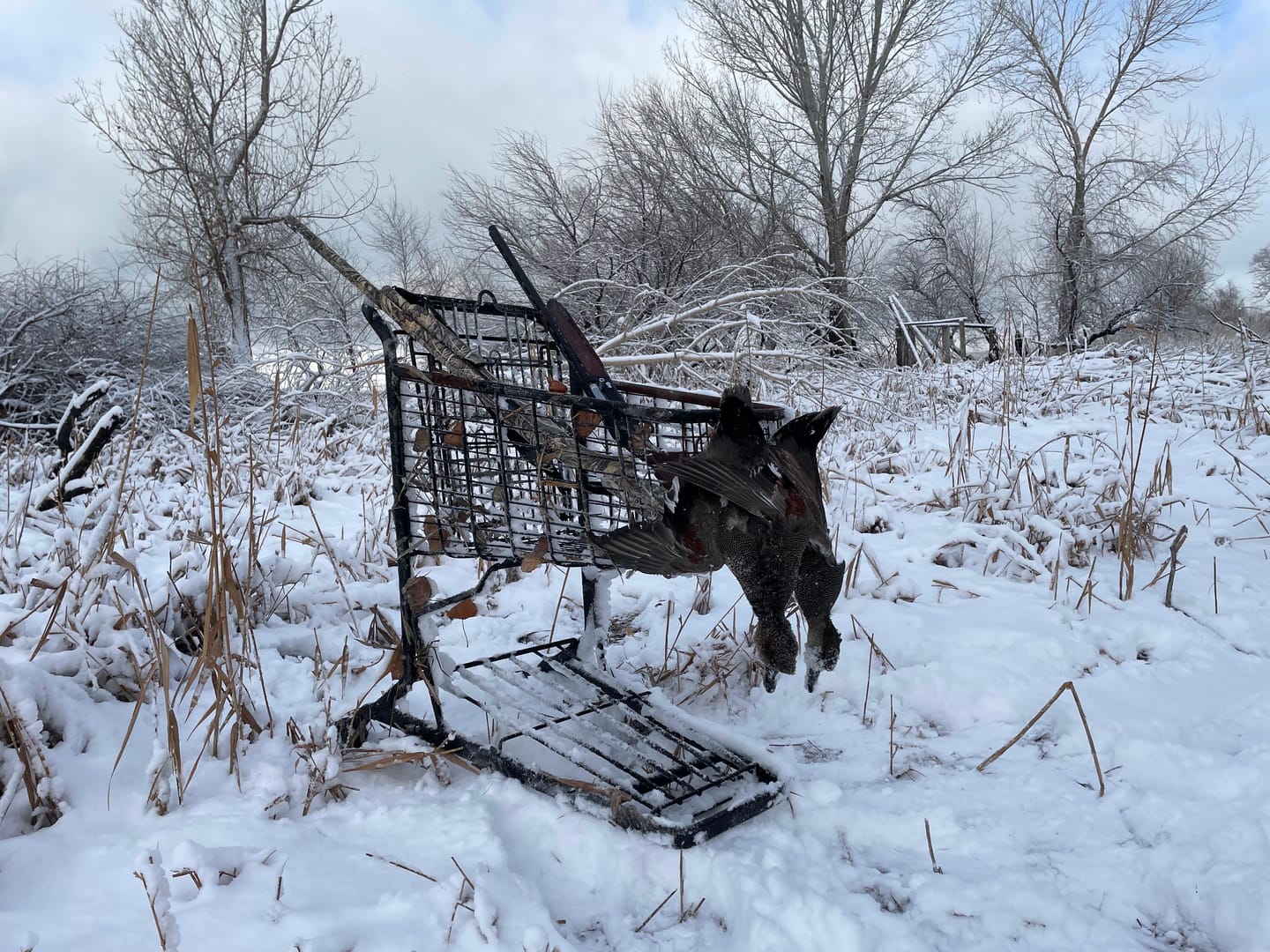 Customer photo review of TIDEWE Men’s Heated Duck Hunting Jacket with Fleece Lining, Waterproof 1/2 Zip Jacket for Hunting (Veil Avayde Camo, Size S-XXXL)