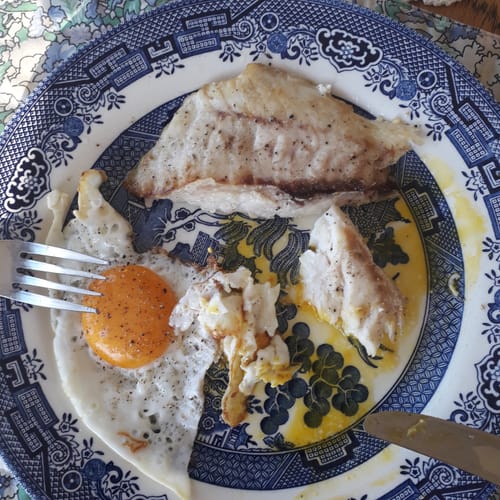 Customer photo review of 5KG Snapper Fillets (Skinned and Boned) Frozen