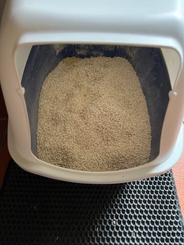 Customer photo review of Naturreines Katzenstreu