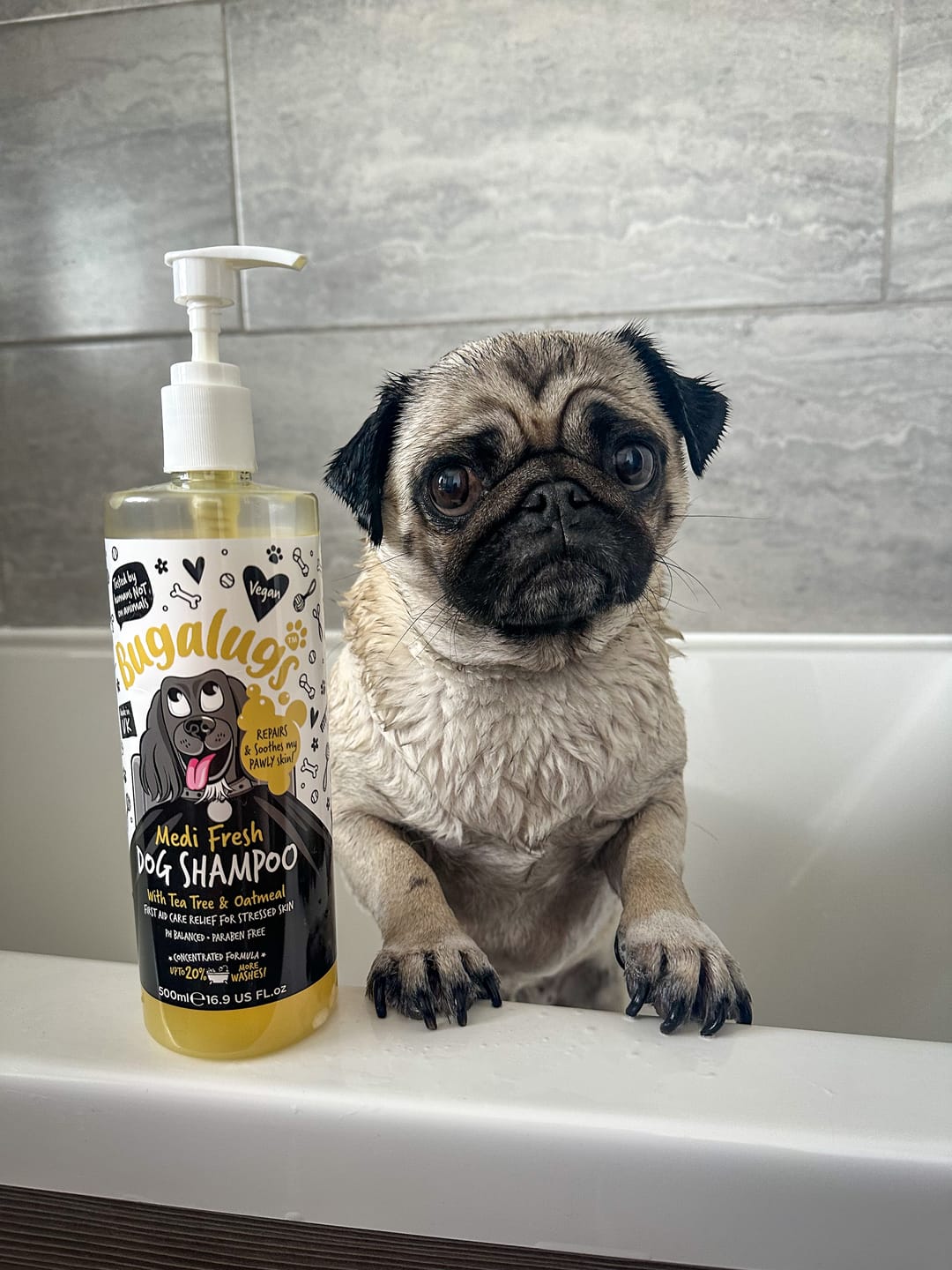 Customer photo review of Medi Fresh Dog Shampoo with Tea Tree & Oatmeal