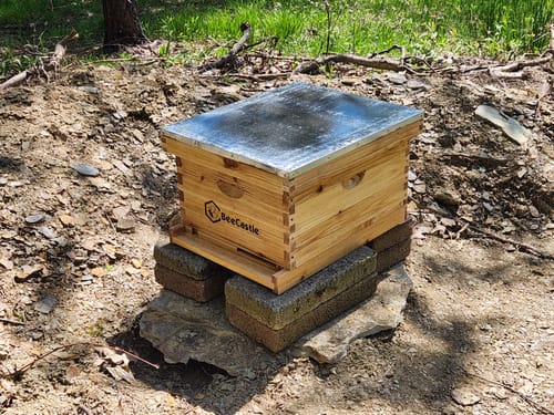Customer photo review of BeeCastle Hives 10 Frame Wax Coat Complete Beehive Kit:2 Designed Deep Bee Boxes and 1 Super Medium Box,Includes Premium Wooden Frames and Beeswax-Plastic Foundation