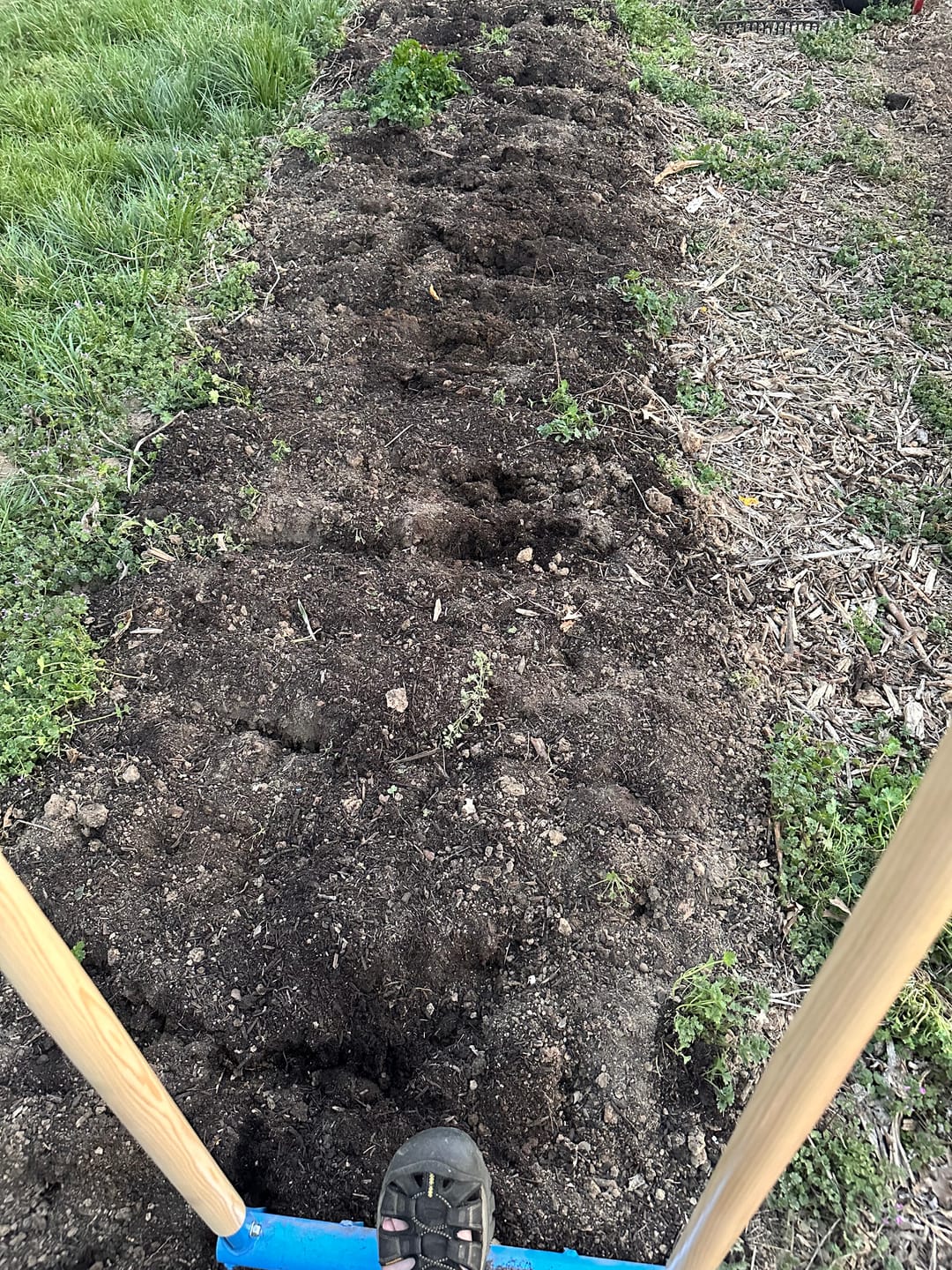 Customer photo review of The Cultivator Treadlite Broadfork | 20" wide | 5 tines