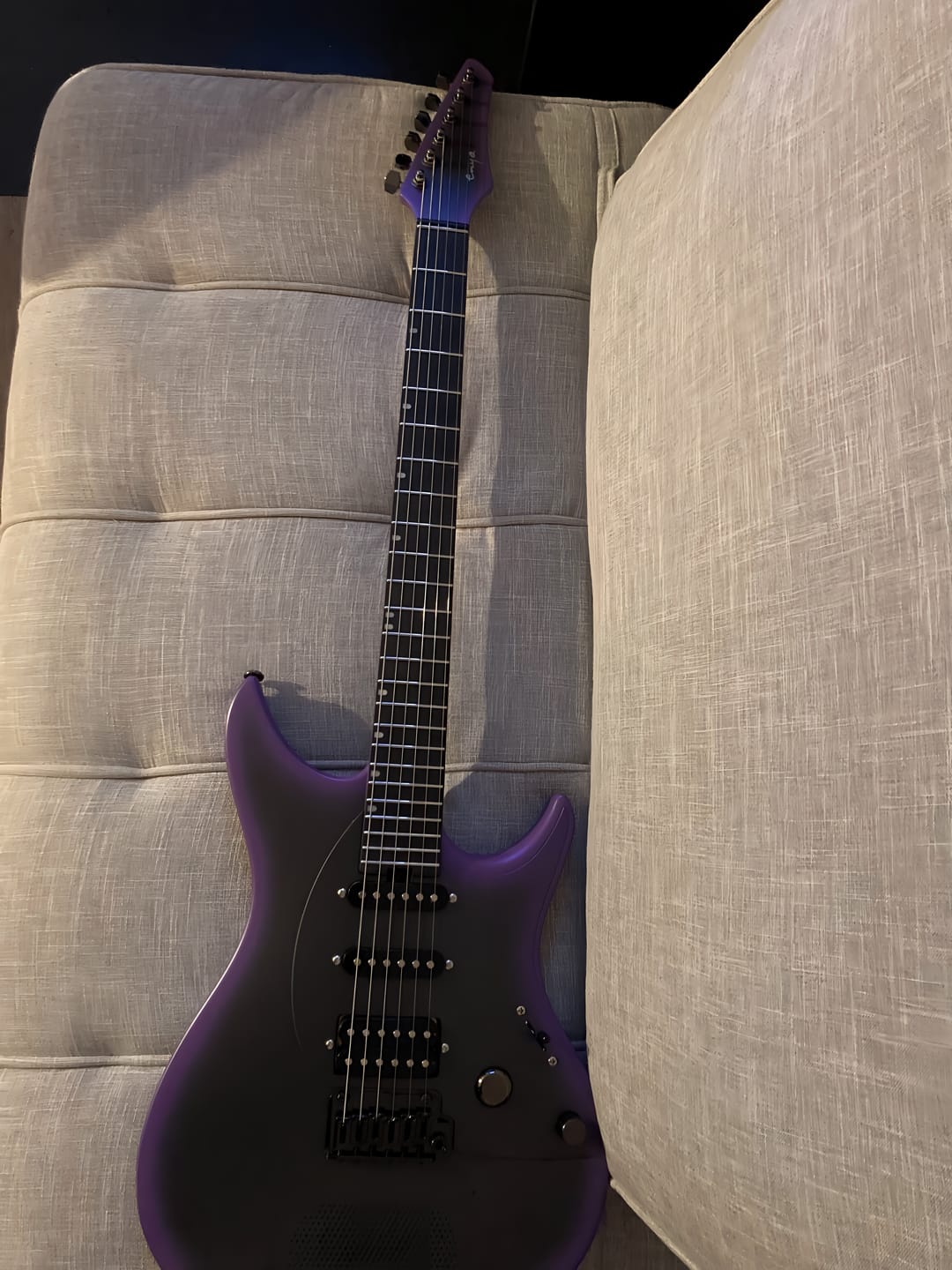 Customer photo review of Inspire