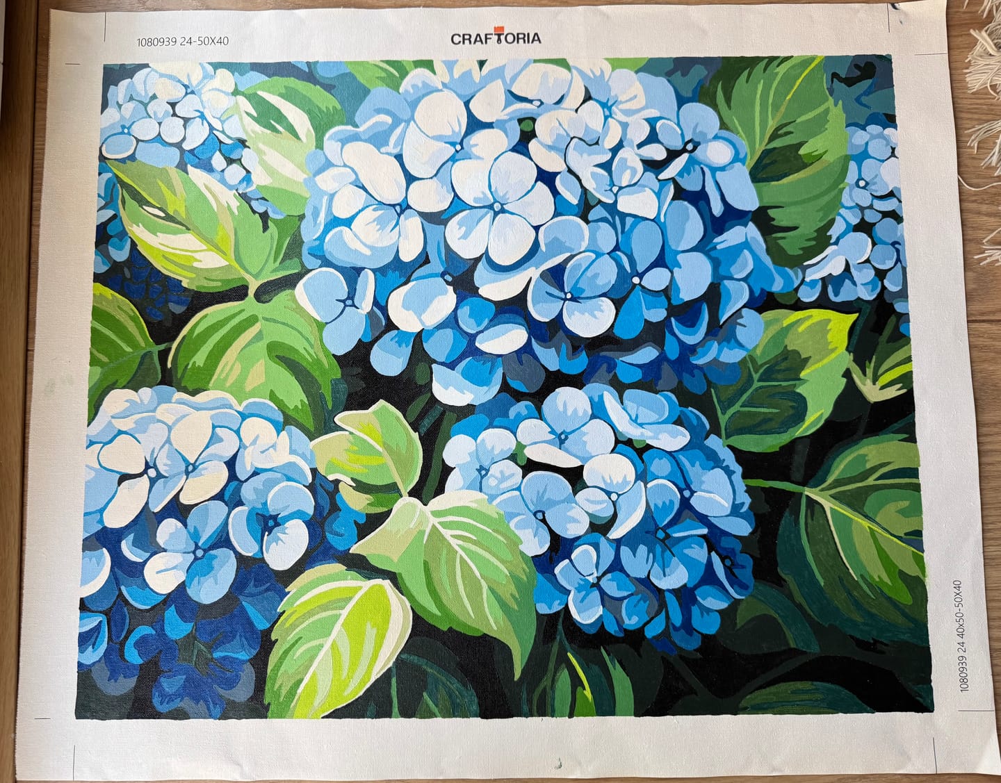 Customer photo review of Clustered Hydrangeas