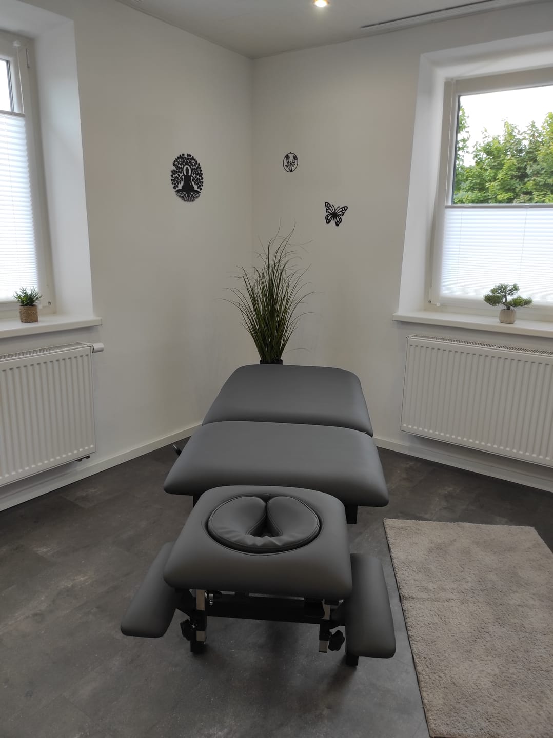 Customer photo review of Massageliege Elektrisch Fortis 5 Ergo | 5-Segmente