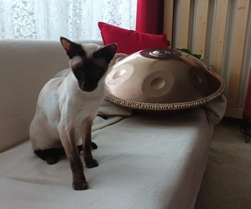 Customer photo review of Battiloro PERSEPHONE - 432 Hz "Healing Frequency" Handpan: B2 Minor 13 Edelstahl
