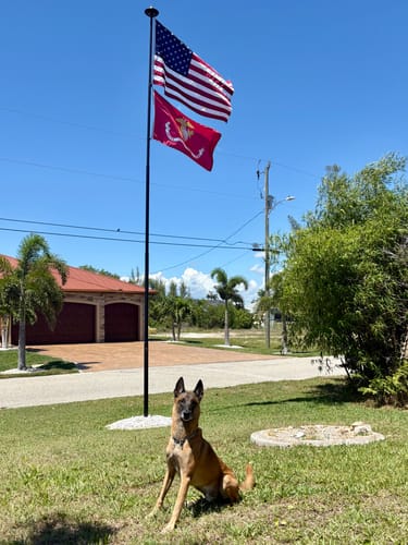 Customer photo review of Ultra Heavy Duty American Flag - 2-ply Polyester - Made In USA