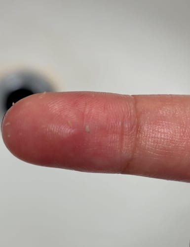 Customer photo review of Luelle Dream Team