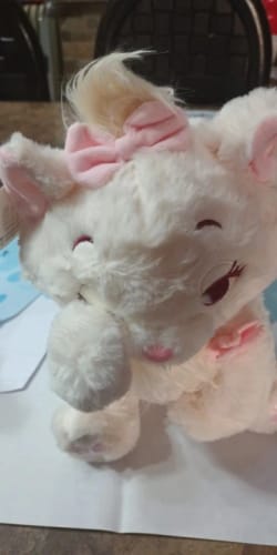 Customer photo review of Disney The Aristocats Marie Plush Toys