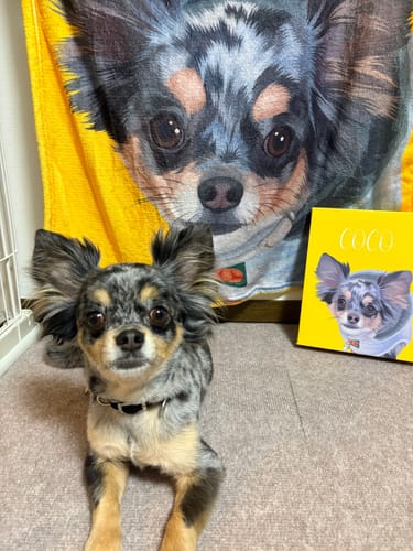 Customer photo review of Petcanva©オーダーメイド ペット似顔絵