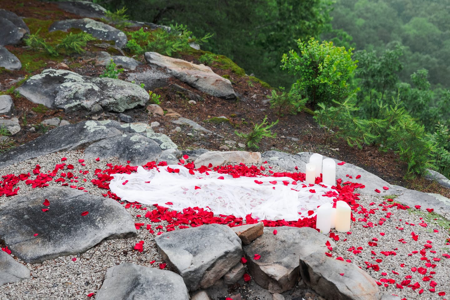 Customer photo review of Red Rose Petals