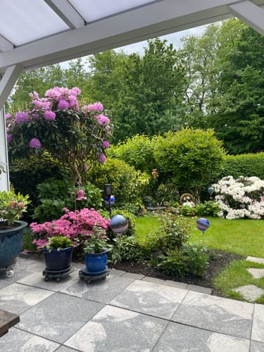 undefined review of 3 in 1 Schutzfolie - iPhone (2 Stück) image 1 out of 1