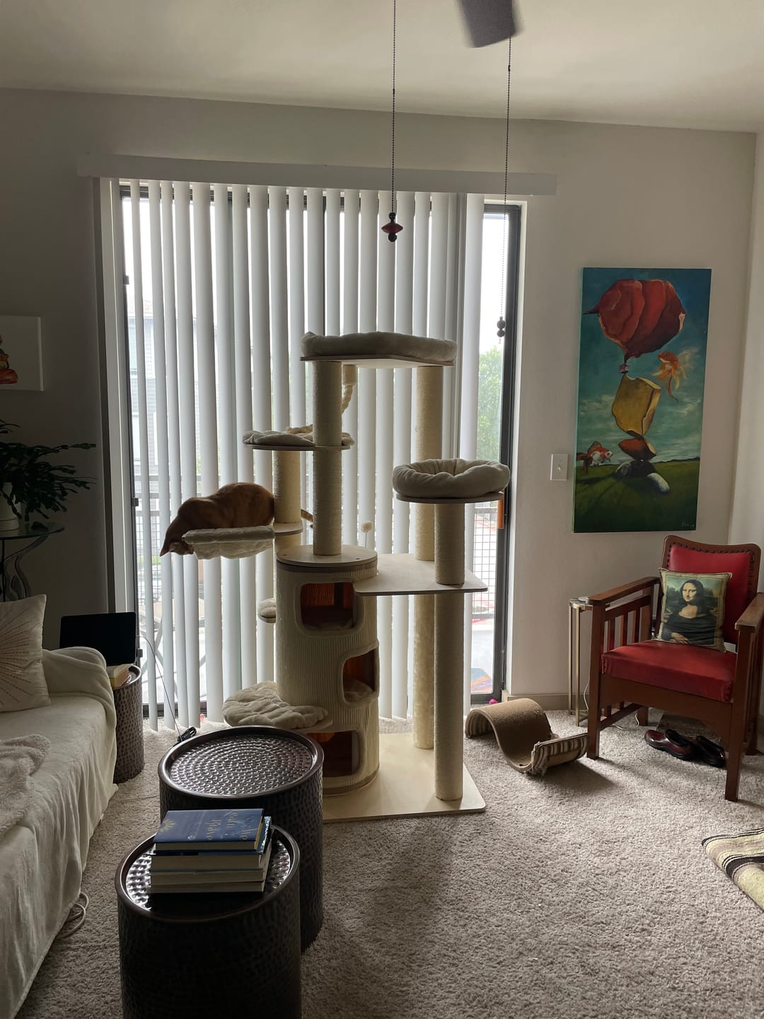 Customer photo review of Shipping Protection