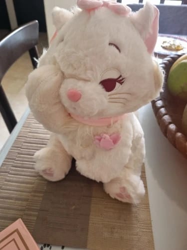 Customer photo review of Disney The Aristocats Marie Plush Toys