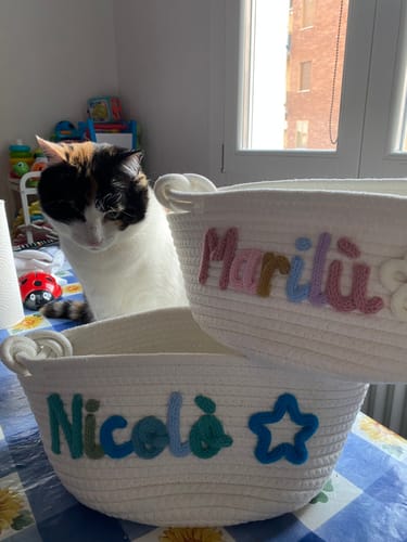 Customer photo review of Choose an Icon