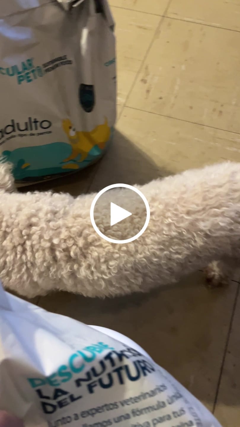 Customer video review of Alimento Perro Adulto Toda Raza Proteína Insectos