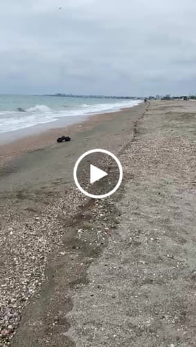 Customer video review of Rlaarlo Carbon Fiber MINI 1:10 Scale RTR Brushless Monster Truck, RZ001B-C