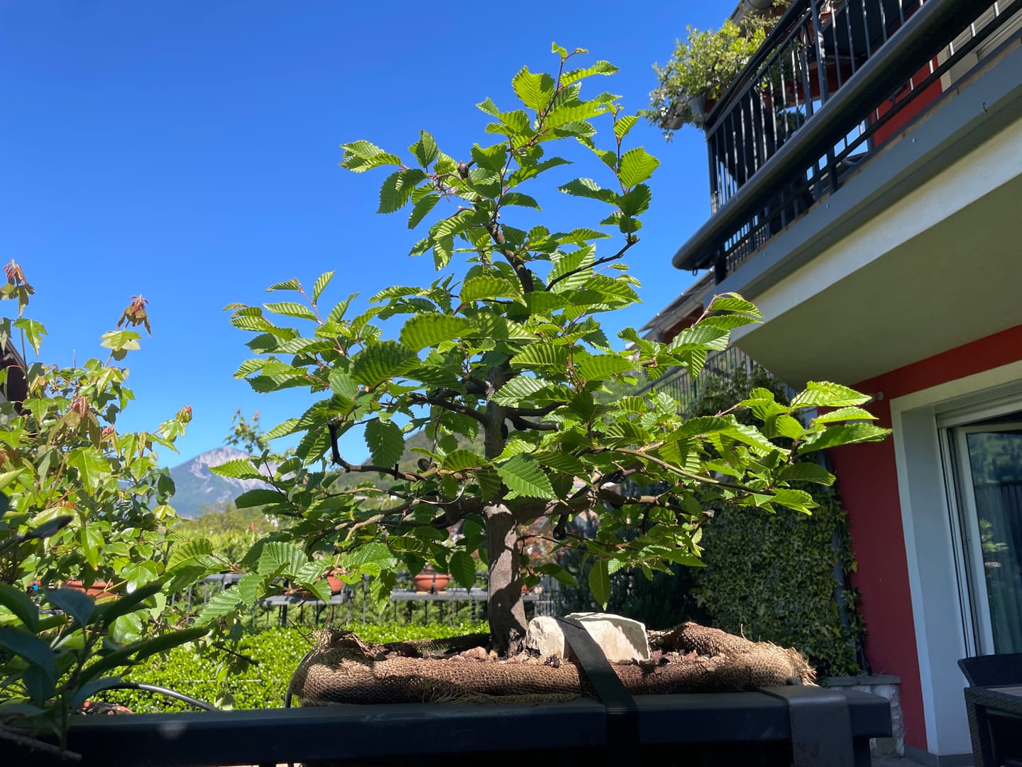 Customer photo review of ESTATE PACK
