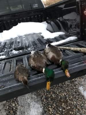 Customer photo review of TIDEWE Men’s Heated Duck Hunting Jacket with Fleece Lining, Waterproof 1/2 Zip Jacket for Hunting (Veil Avayde Camo, Size S-XXXL)