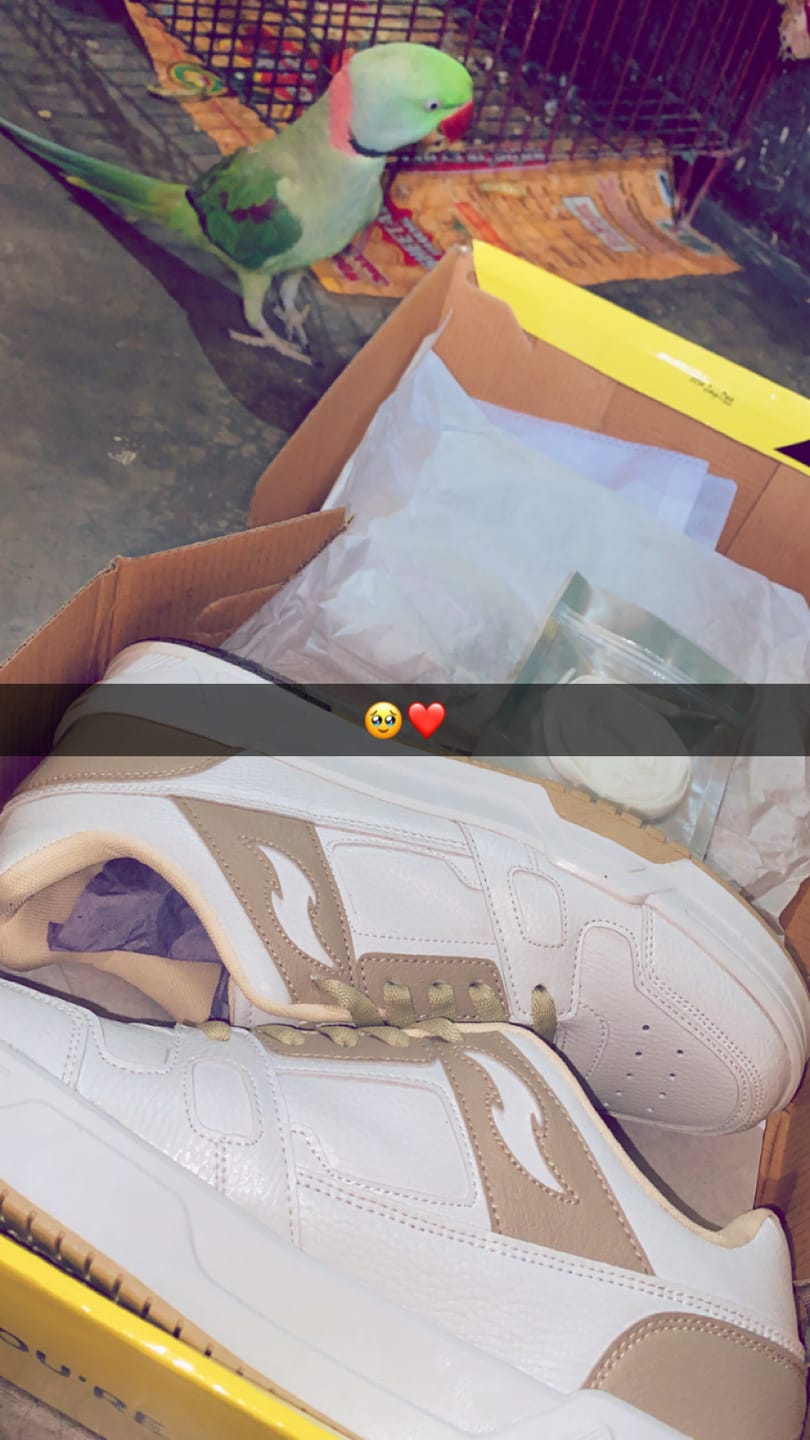 Customer photo review of SPADE Salty Beige
